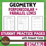 Perpendicular and Parallel Lines - Editable Student Practi
