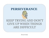 Perserverance Poster