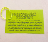 Perseverance Bracelets - Testing Encouragement