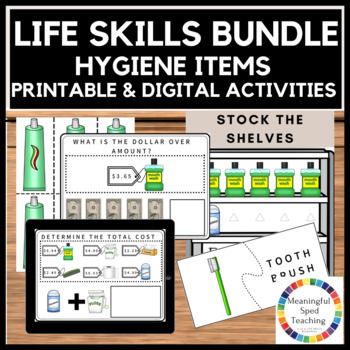 Preview of Personal Hygiene Life Skills Activity Worksheets Printable and Digital Bundle