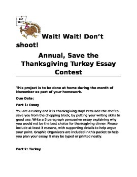 2 page essay on turkey