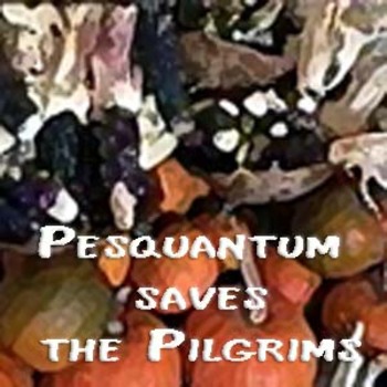 Preview of Pesquantum saves the Pilgrims