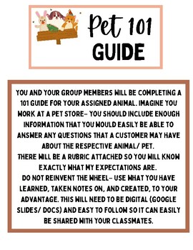 Preview of Pet 101 Guide