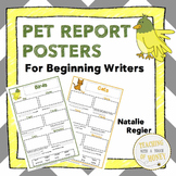 Pet Activities - Informational Writing Templates For Begin