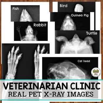 pet vet clinic dramatic play pack by pre k printable fun tpt