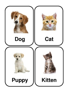 Preview of Pet Flashcards *Real Photos!*