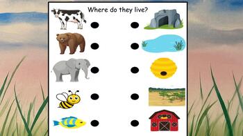Preview of Pet Needs and Animal Habitats Interactive Slides
