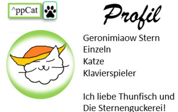 Preview of Pet Profile - German Reading Writing Activity Beginners Ease Access Fun Homework
