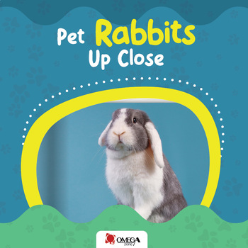 Pet Rabbits Up Close by omega zone | TPT