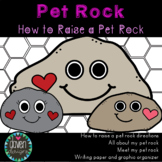 Pet Rock Gift