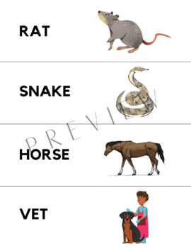 Preview of Pet Themed Word Cards