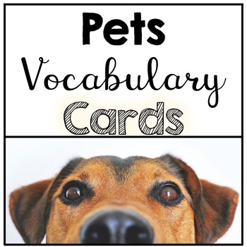 Preview of Pet Themed Word Wall Vocabulary Cards
