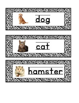Preview of Pet Vocabulary for Creative Curriculum Pet Study