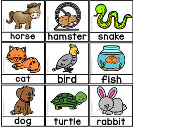 Pet or Not a Pet? A Creative Curriculum Sorting Activity by HarleyMomma