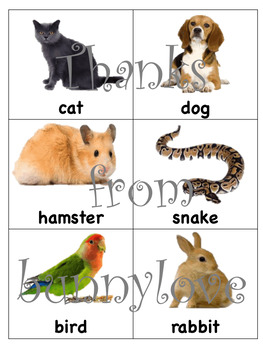 Pet Animals Chart Printable