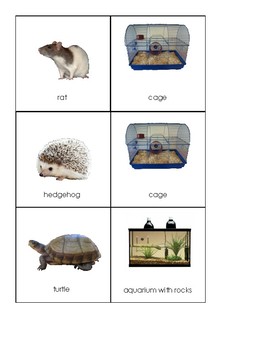 Preview of Pets and their homes sorting and matching work