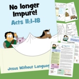 Peter's Vision - Acts 11 - Kidmin Lesson & Bible Crafts
