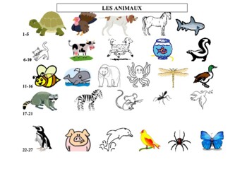 Preview of Les Animaux - Learning Animals in French