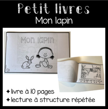 Preview of Petit livre- Mon lapin (lecture débutante)