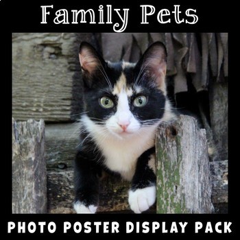Preview of Pets | Photo Posters with Vocabulary | Animals | Home and Family