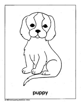 Pets Black & White Picture Collection Grades K-8 by On The Mark Press