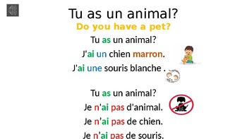 Pets: Do you have a pet? Colors. The verb AVOIR/ to have | TpT