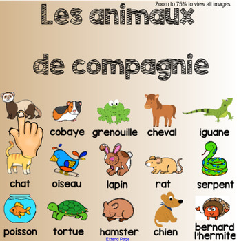 Preview of Pets / Les animaux de compagnie - Interactive Smartboard vocabulary slide