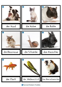Preview of Pets Montessori 3 Part Cards in German, Haustiere, Deutsch, DaF