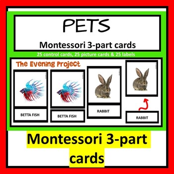 Preview of Pets Montessori 3 part cards with real photographs