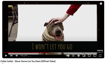 Preview of Pets - "Never Gonna Let You Down" - Colbie Caillat song journal writing prompt