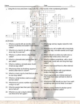 Pets Pet Care Crossword Puzzle by English and Spanish Language Ideas
