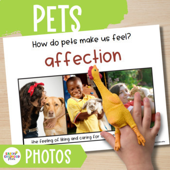 Preview of Pets Study Real Photos for The Creative Curriculum