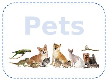 Preview of CREATIVE CURRICULUM: Pets Study Weekly Questions