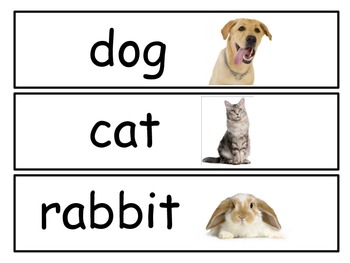 Preview of Pets Unit Word Cards