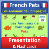 Pets in French Presentation Activities & Word Wall Les Ani