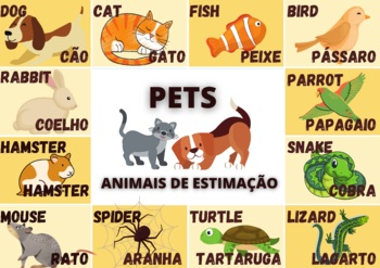 Preview of Pets vocabulary