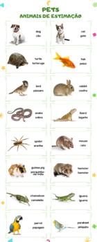 Preview of Pets vocabulary bilingual infographic in English and Portuguese