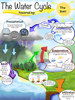Preview of PflySci: Water Cycle Classroom poster