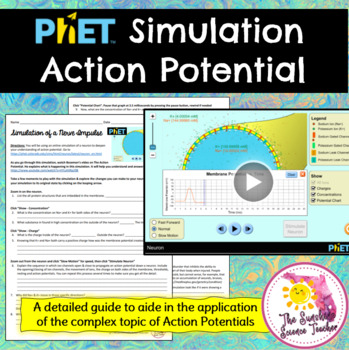 Preview of PhET Action Potential Virtual Simulation