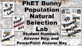 PhET Bunny Population Natural Selection Lab: Lab Handout, 