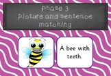 Phase 3 - Picture and Sentence Matching