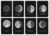 Phase of the Moon