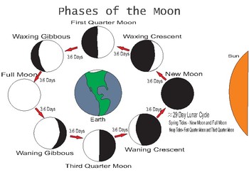 Preview of Phases Of The Moon