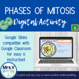 Mitosis DIGITAL Activity