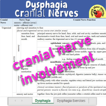 Preview of Phases of Swallow: Normal/Dysphagia & Exercises Study Guide