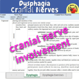 Phases of Swallow: Normal/Dysphagia & Exercises Study Guide