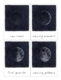 Phases of the Moon 3 Part Cards