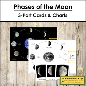 Preview of Phases of the Moon 3-Part Cards & Charts