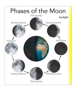 Phases of the Moon - 3 Part Nomenclature Cards and Teaching Diagram