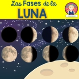 Phases of the Moon Activities IN SPANISH for K-2
